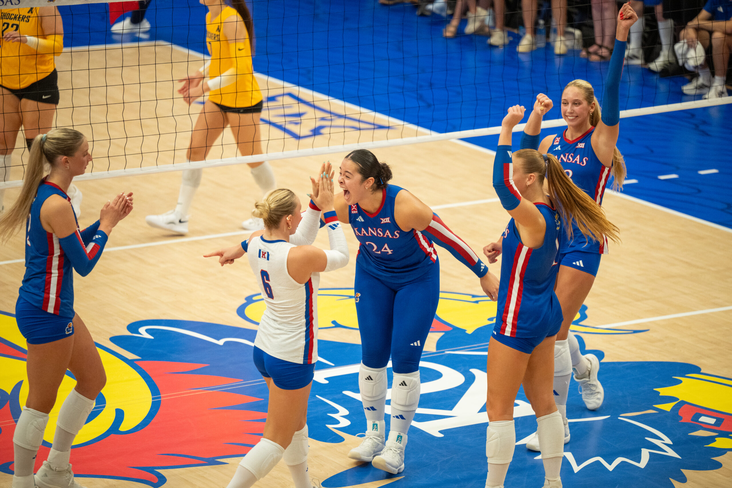 KU volleyball sweeps Wichita State in home opener | News, Sports, Jobs ...